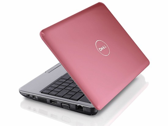 Dell Mini 9 (ours is red, not pink)